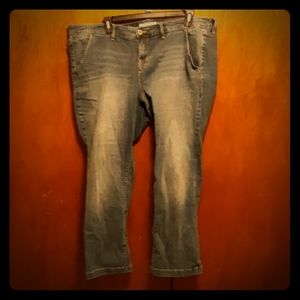Lightly used plus sized torrid jeans